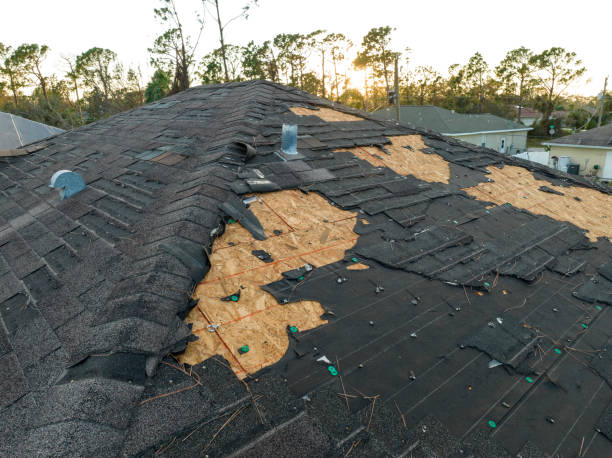 Best Emergency Roof Repair Services  in Big Lake, MN